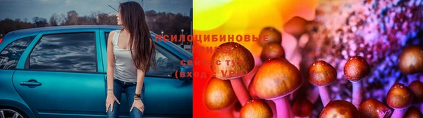 таблы Осташков