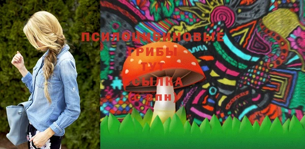 2c-b Няндома