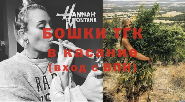таблы Осинники