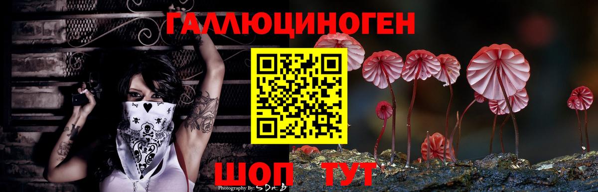 Псилоцибиновые грибы мухоморы  купить наркоту  Лиски 