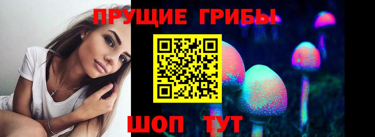 Псилоцибиновые грибы мицелий Лиски